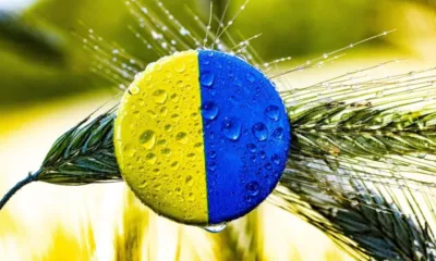 Официално: ЕК забрани вноса на 4 земеделски продукта от Украйна