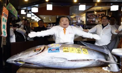 Най-скъпата риба тон, продадена на търг в Токио: Гинес признаха рекорда на японска суши верига (ВИДЕО)