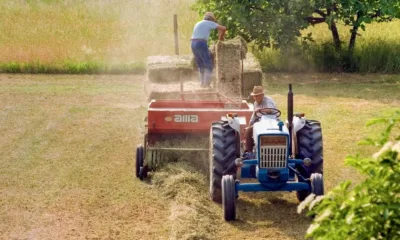 ДФ Земеделие изплати над 45 млн. лева на фермери, засегнати от войната в Украйна