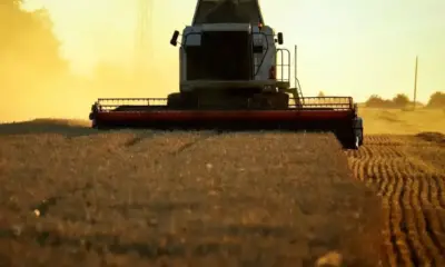 ЕС въвежда мита за вноса на зърно от Русия и Беларус