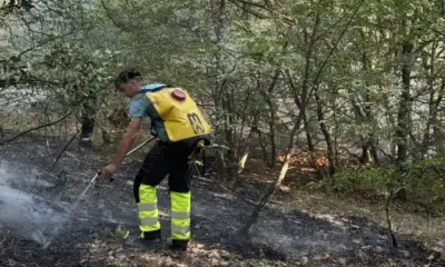 Земеделските производители осигуряват техника и помощ срещу пожарите