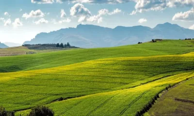 България е сред страните от ЕС с най-малко поскъпване на селскостопанските продукти