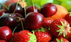 ИТЦ се понижава, но борсовите цени на краставиците, черешите и ягодите растат