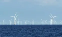 Експерт: Разполагането на вятърни централи в Черно море не носят риск за риболова и туризма у нас