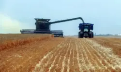 Латвия наложи забрана за внос на зърно от Русия и Беларус