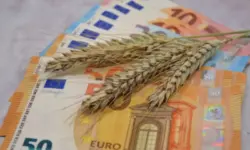 Пшеницата и царевицата по световните борси поевтиняват, освен във Франция, където има лек ръст