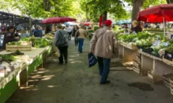 Цените на повечето зеленчуци на борсите в страната се понижават значително