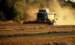 Зърнопроизводителите алармират: Добивите са плачевно ниски, калкулираме загуби 