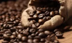 Рекорден ръст: Цената на кафето Робуста достигна 45-годишен връх