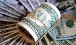 Morgan Stanley: Доминиращата роля на щатския долар вероятно ще се запази 
